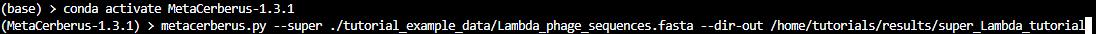 _images/run_command_super_lambda.jpg